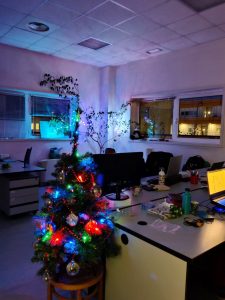 Lab decorated for the winter holidays