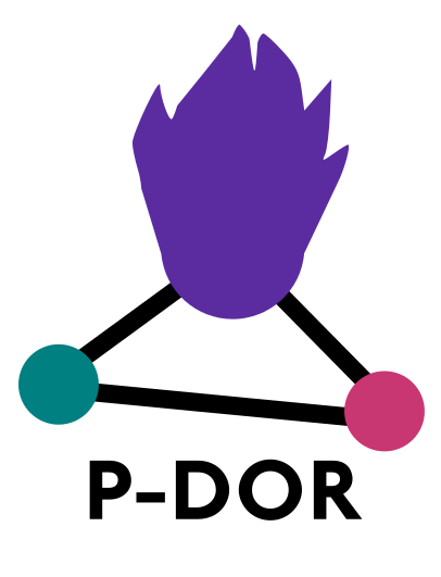 Logo of P-DOR software