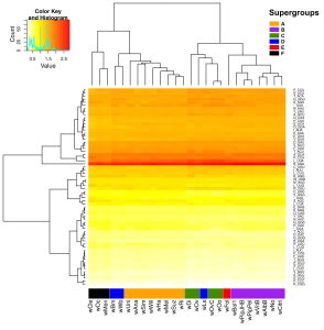 Fig3